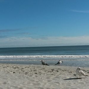 Meet your Posher, Vicky